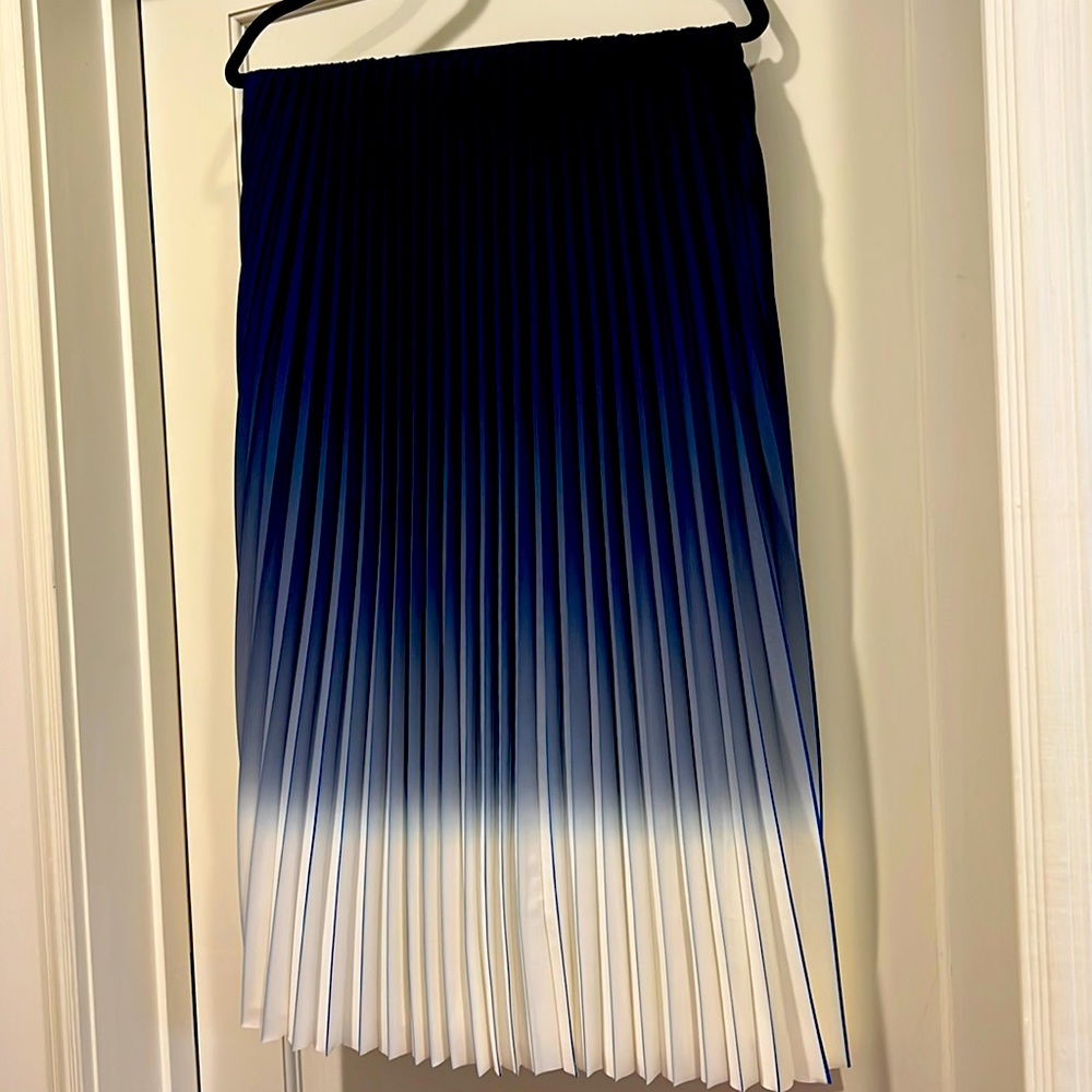 NWT J.McLaoughlin Ombré Skirt